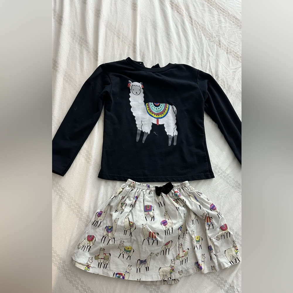 Mon Petit Bonbon Sweater and Skirt set